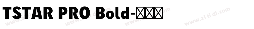 TSTAR PRO Bold字体转换